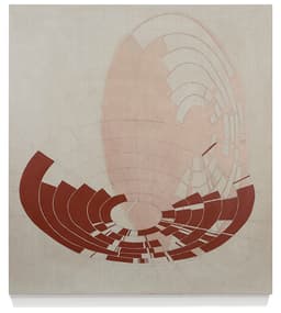 Red Composite, 2019 | Acrylic on Linen, 48 x 44 inches