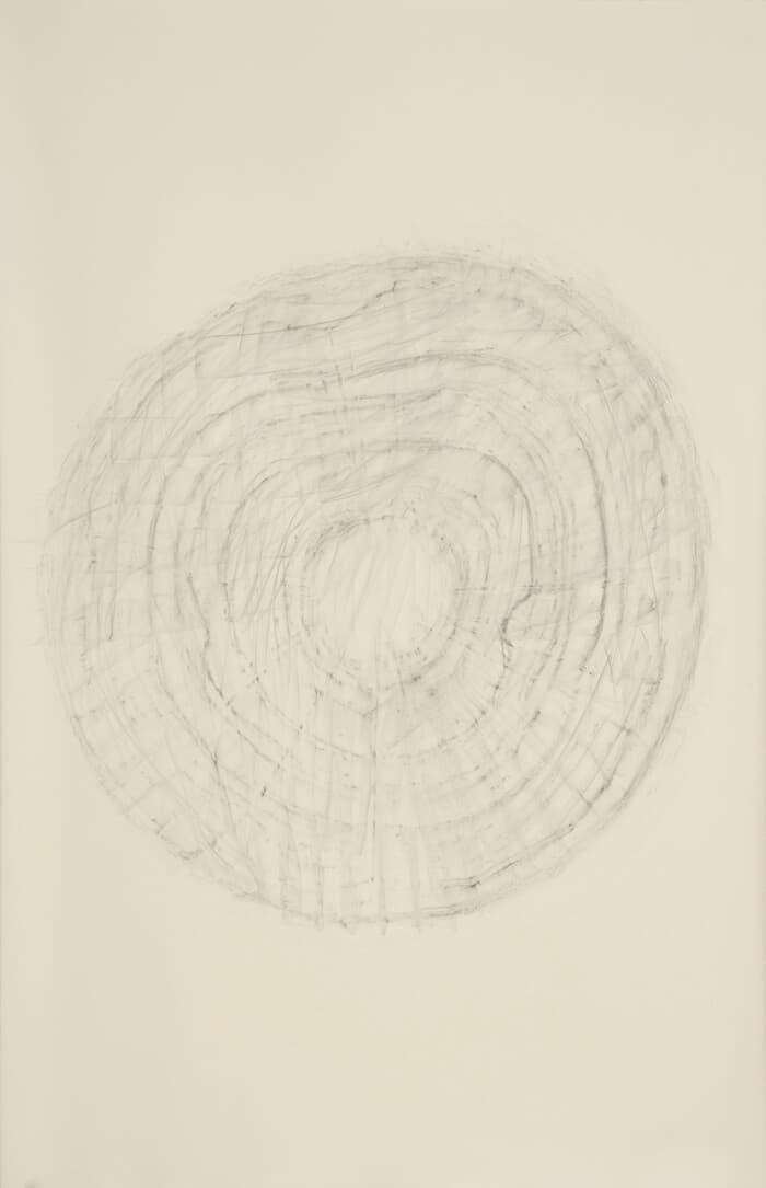 2490 Rubbing #3 | graphite on paper, 40 x 26 inches, 2012