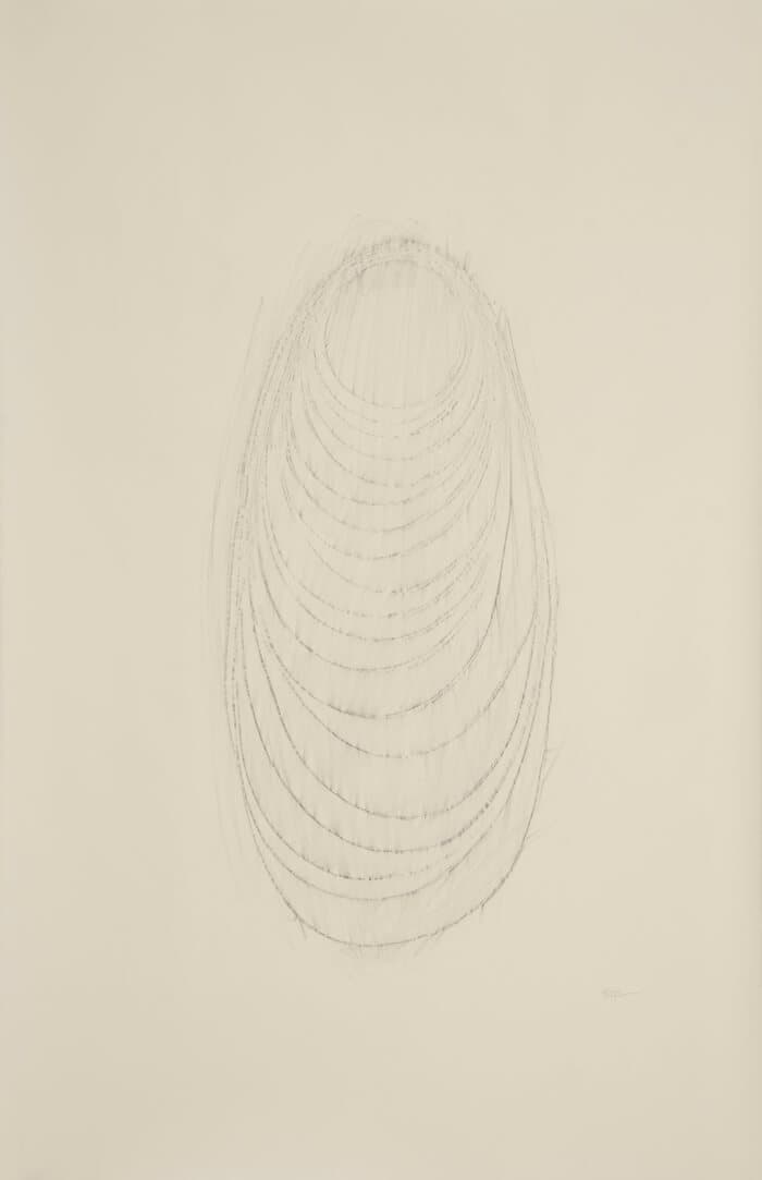 Long Line 2011 Rubbing | graphite on paper, 40 x 26 inches, 2011