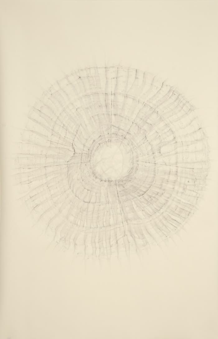 2490 Rubbing #2 | graphite on paper, 40 x 26 inches, 2012